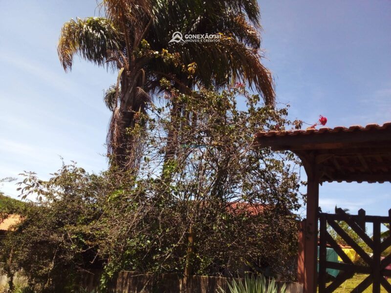 Chácara à Venda em Munhoz, MG — foto 13