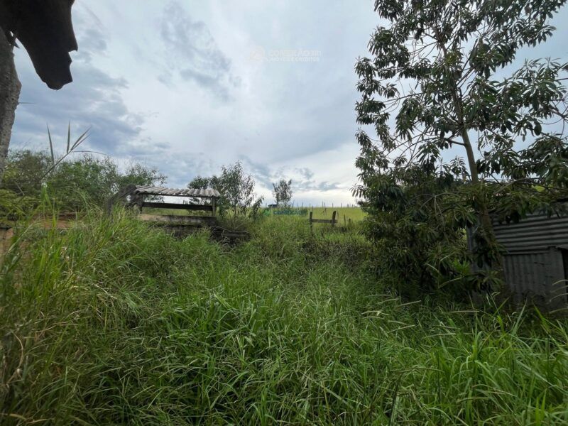Chácara à venda em Cambuí, MG — foto 5
