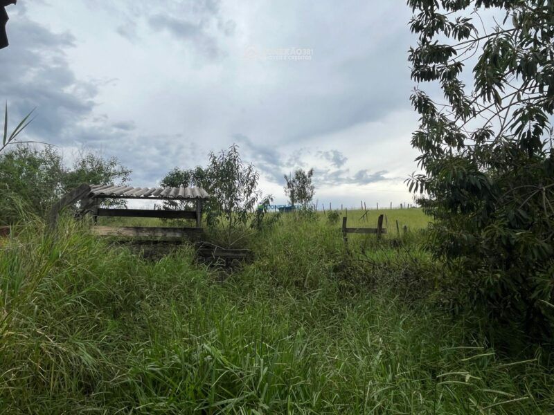 Chácara à venda em Cambuí, MG — foto 14