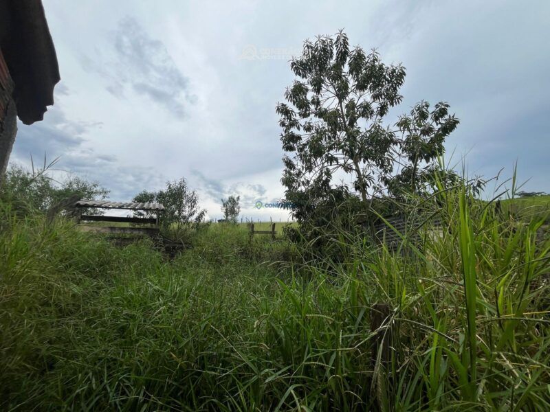 Chácara à venda em Cambuí, MG — foto 18