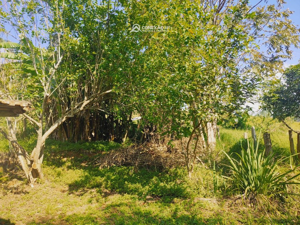 Chácara com duas casas de morada à venda em Camanducaia, MG — foto 8