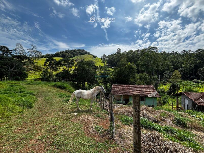 Chácara com duas casas de morada à venda em Camanducaia, MG — foto 34