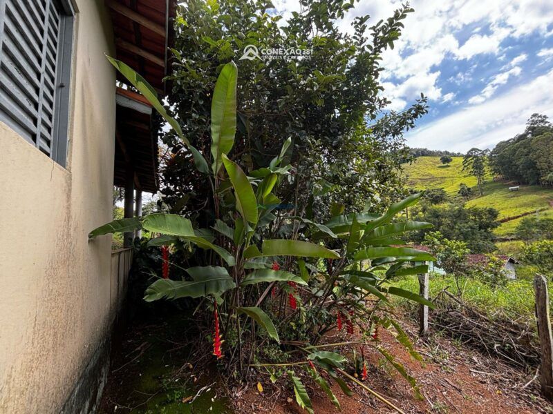 Chácara com duas casas de morada à venda em Camanducaia, MG — foto 53