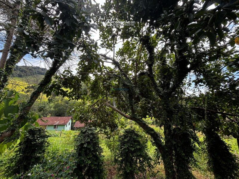 Chácara com duas casas de morada à venda em Camanducaia, MG — foto 58