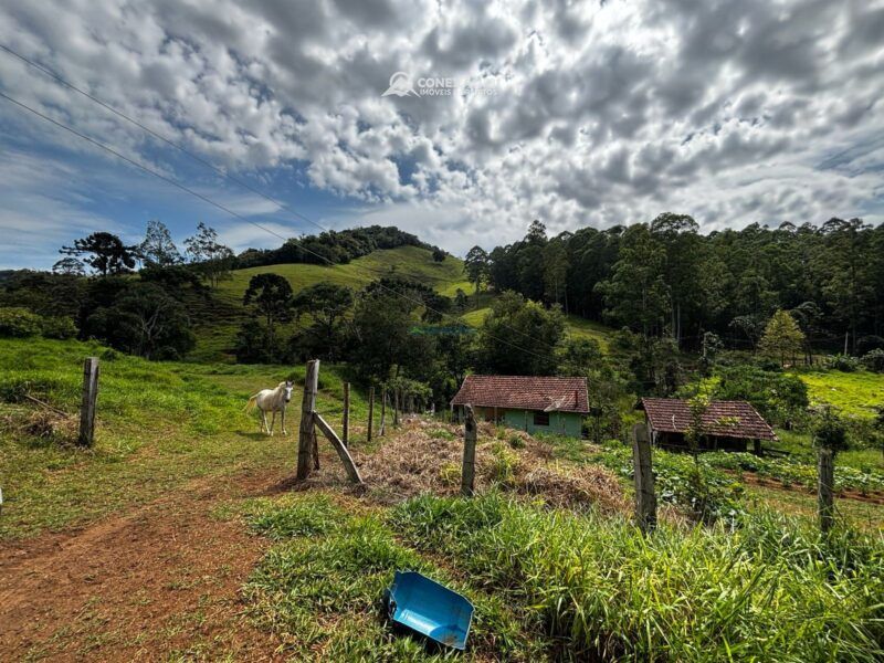 Chácara com duas casas de morada à venda em Camanducaia, MG — foto 60