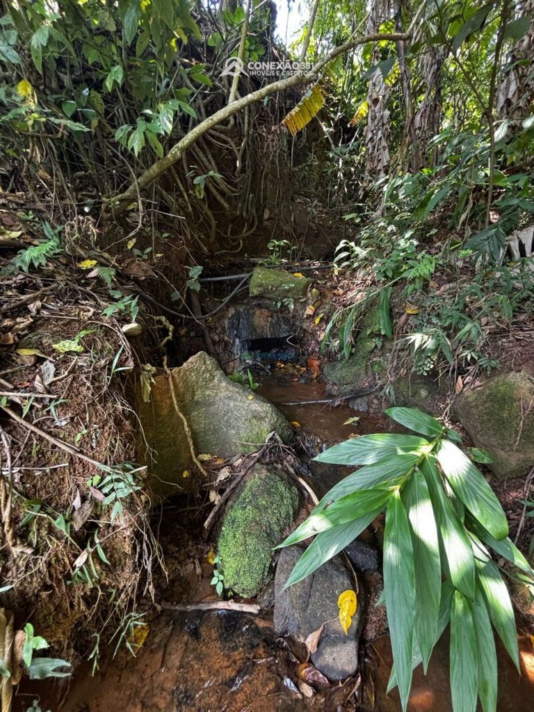 Terreno Rural à venda em Córrego do Bom Jesus, MG — foto 10