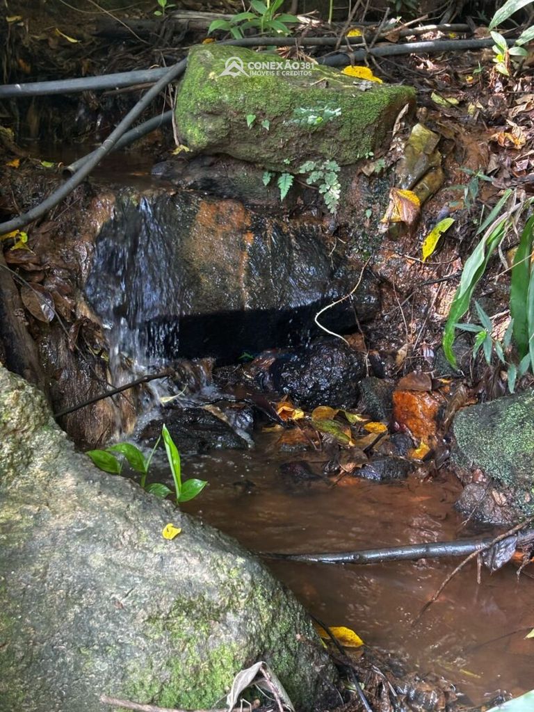 Terreno Rural à venda em Córrego do Bom Jesus, MG — foto 9