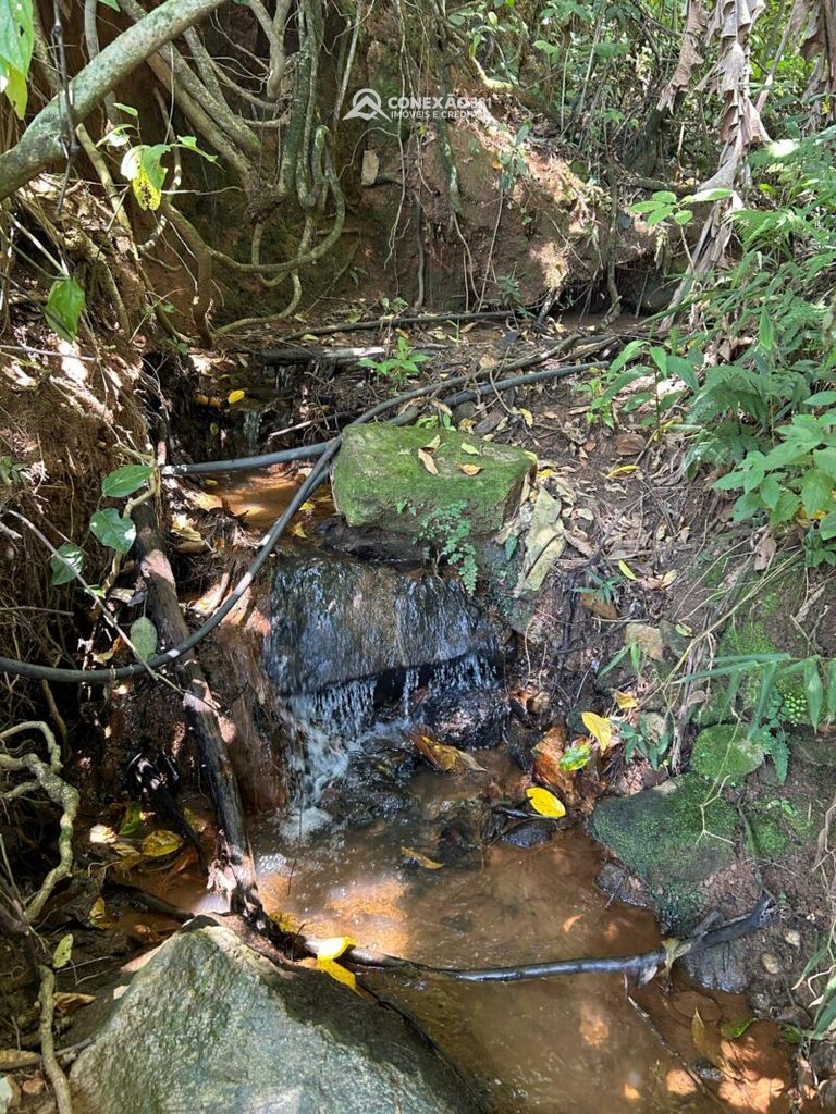 Terreno Rural à venda em Córrego do Bom Jesus, MG — foto 21