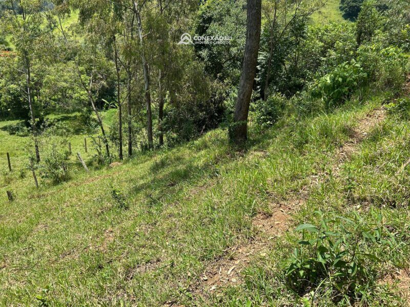 Terreno Rural à venda em Córrego do Bom Jesus, MG — foto 23