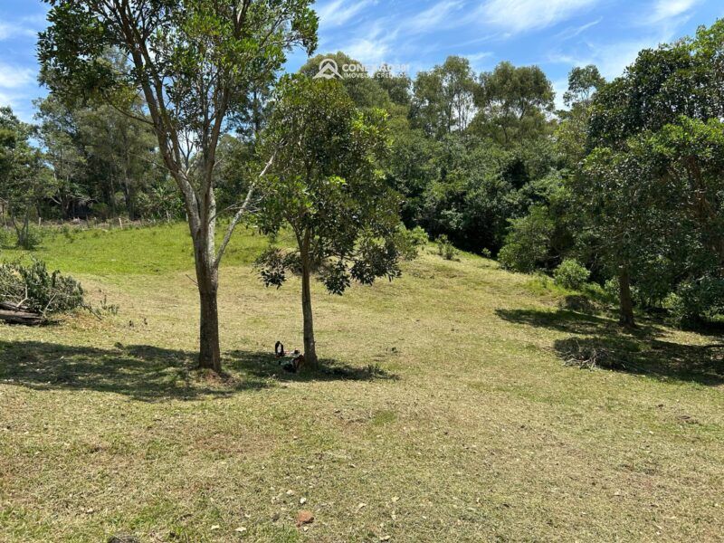 Terreno Rural à venda em Córrego do Bom Jesus, MG — foto 26