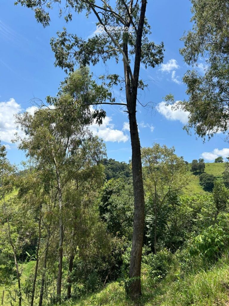 Terreno Rural à venda em Córrego do Bom Jesus, MG — foto 25