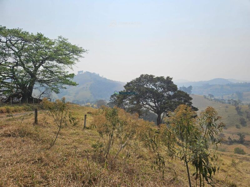 Terreno Rural à venda em Cambuí, MG — foto 5