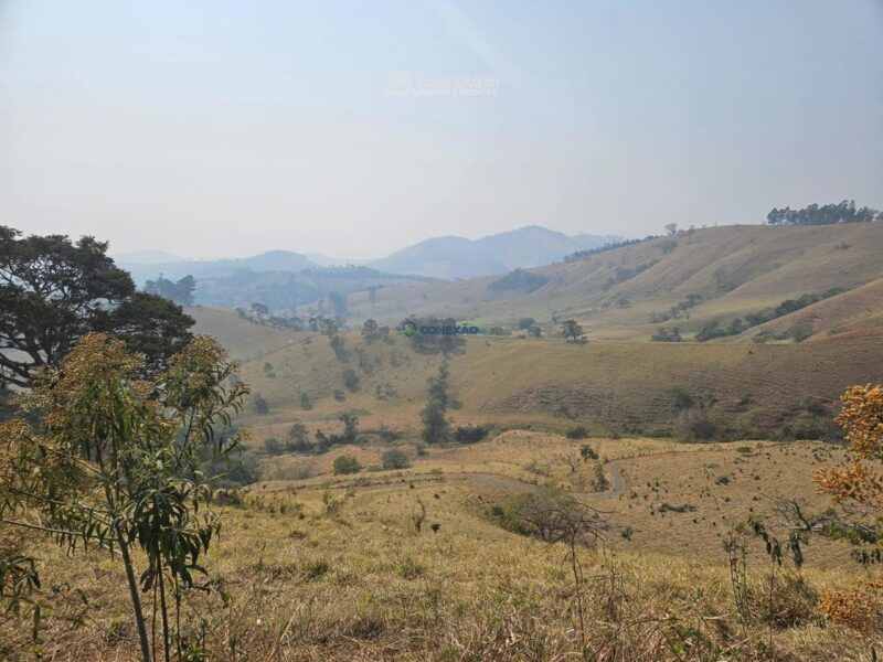 Terreno Rural à venda em Cambuí, MG — foto 7