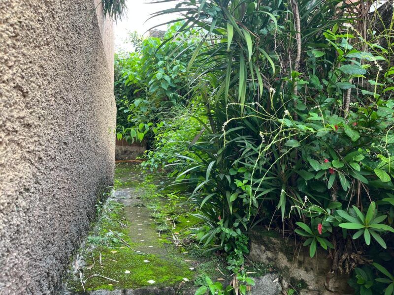 Sobrado com Ponto Comercial à Venda em Cambuí, MG — foto 34