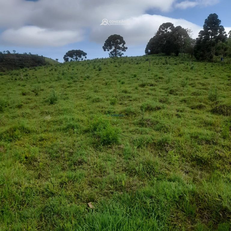 Terreno rural à venda em Paraisópolis, MG — foto 10