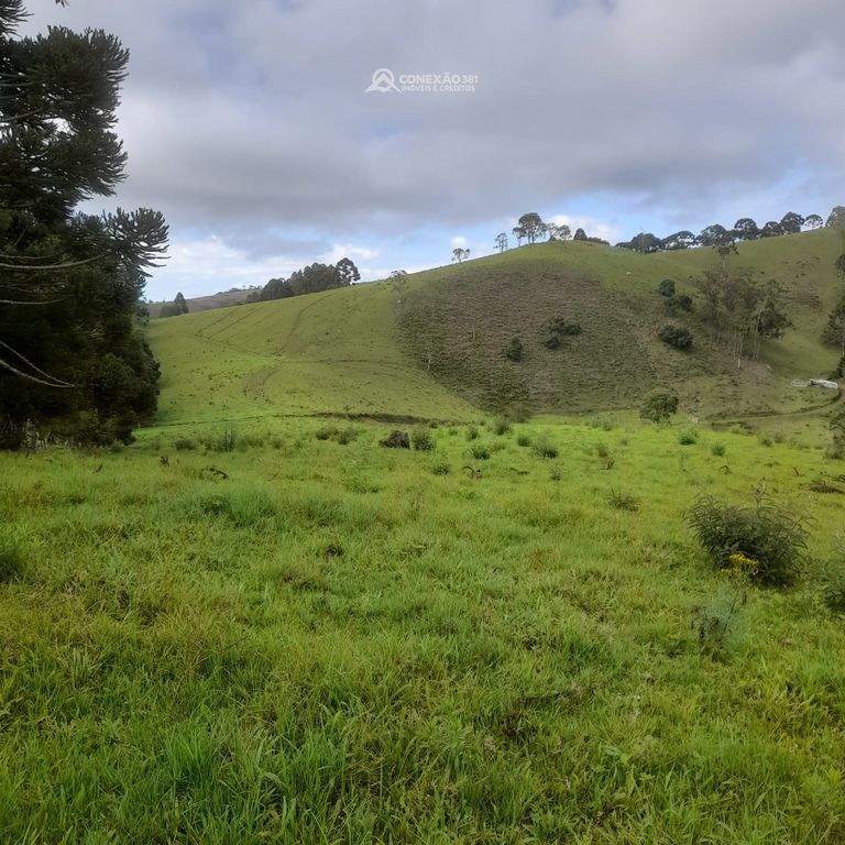 Terreno rural à venda em Paraisópolis, MG — foto 14