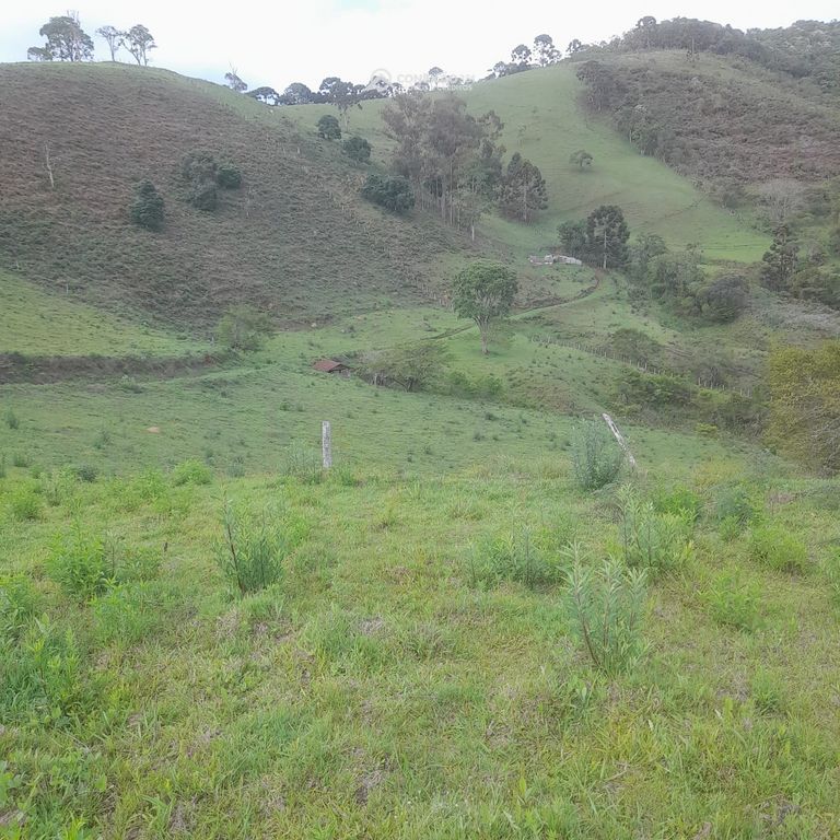 Terreno rural à venda em Paraisópolis, MG — foto 18