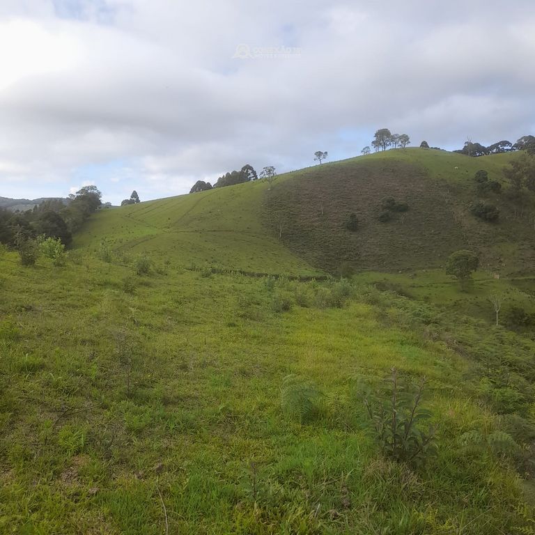 Terreno rural à venda em Paraisópolis, MG — foto 16