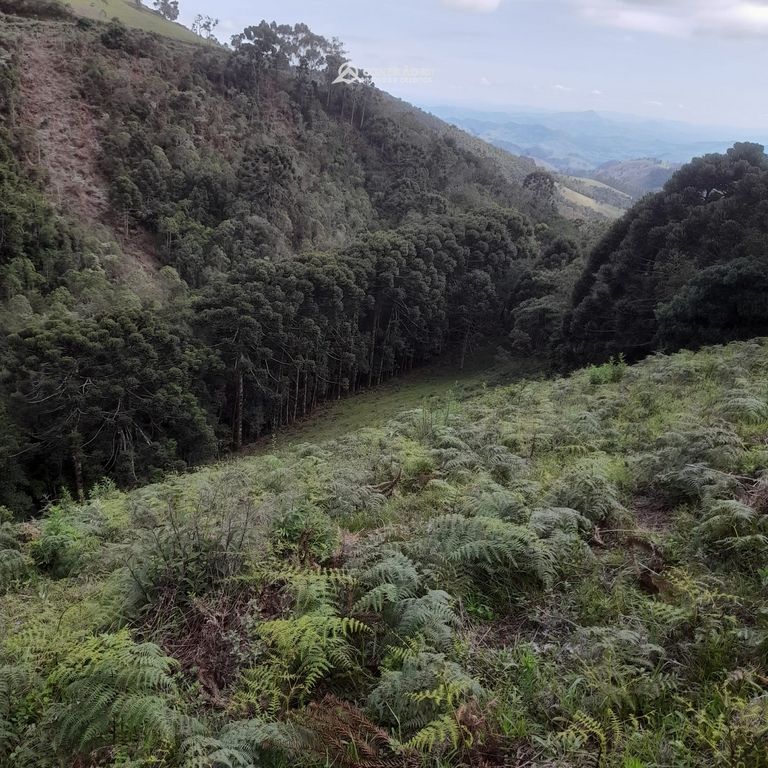 Terreno rural à venda em Paraisópolis, MG — foto 15