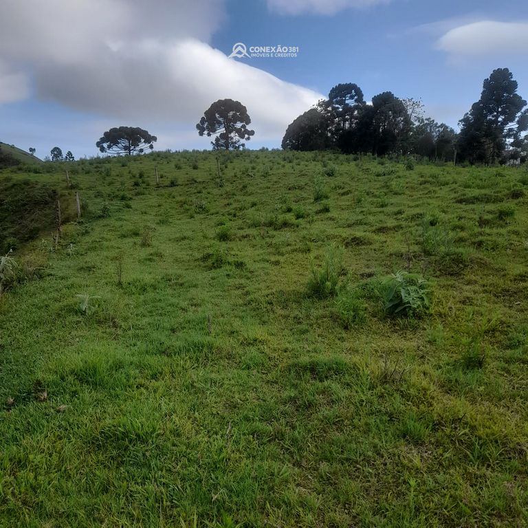 Terreno rural à venda em Paraisópolis, MG — foto 19