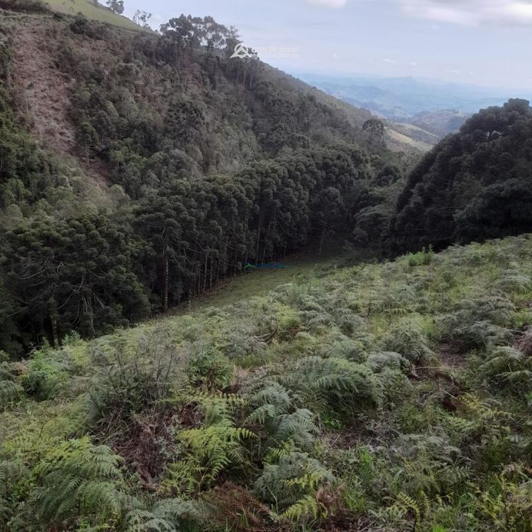 Terreno rural à venda em Paraisópolis, MG — foto 25