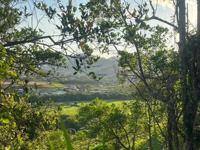 Terreno Urbano à venda em Cambui, MG — foto 7
