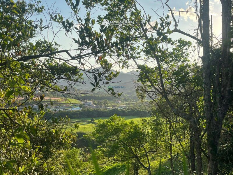 Terreno Urbano à venda em Cambui, MG — foto 8