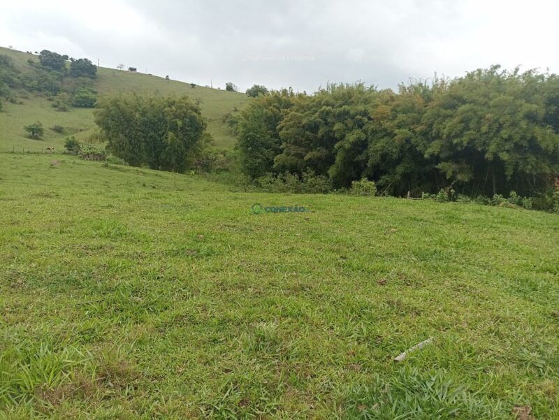 Chácara à venda em Corrego do Bom Jesus, MG — foto 6