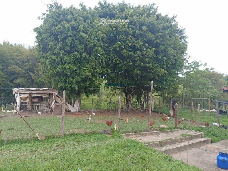 Chácara à venda em Corrego do Bom Jesus, MG — foto 7