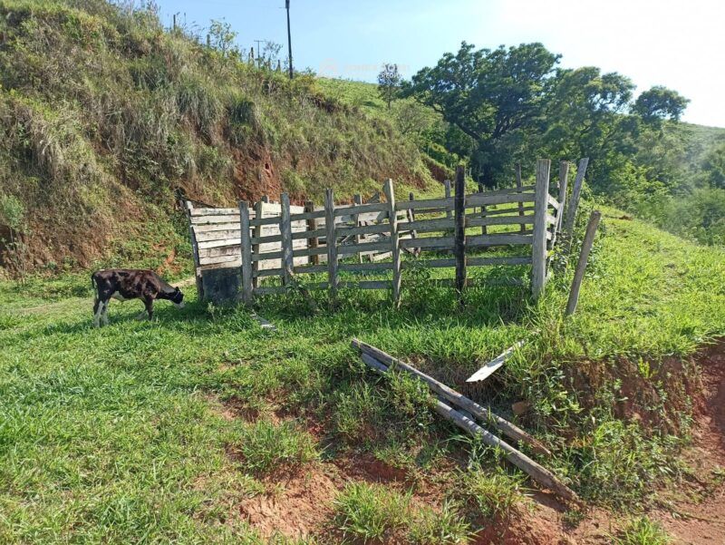 Terreno à venda em Cambui, MG — foto 8