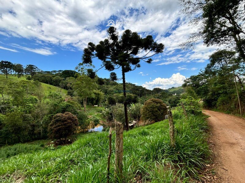 Terreno rural à venda em Cambui, MG — foto 5