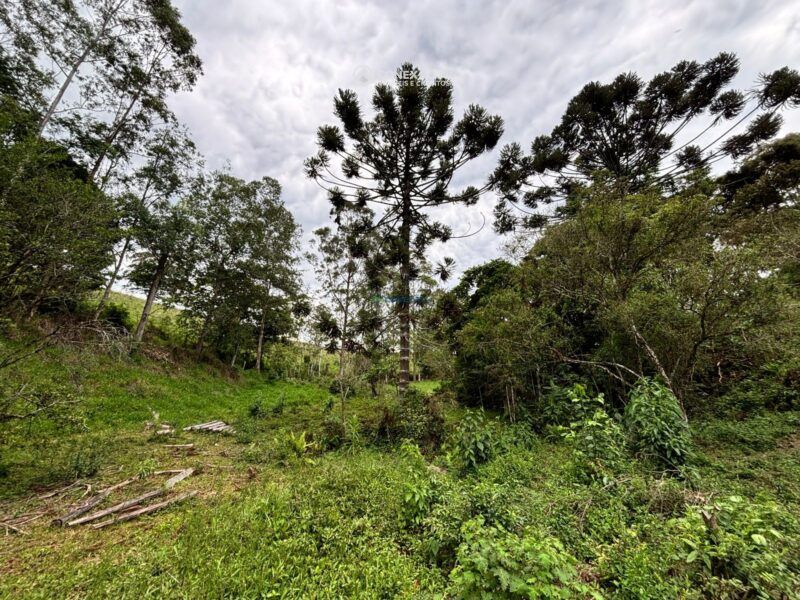 Terreno rural à venda em Cambui, MG — foto 6