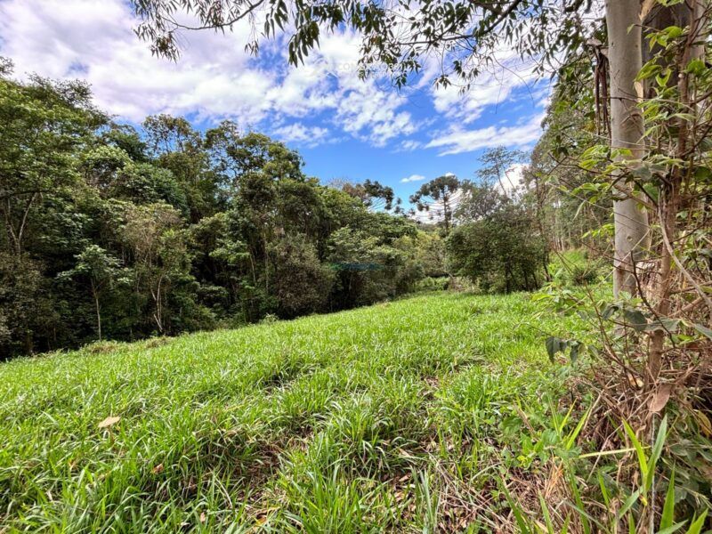 Terreno rural à venda em Cambui, MG — foto 4