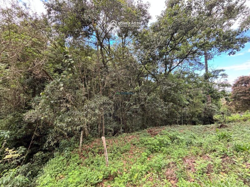 Terreno rural à venda em Cambui, MG — foto 9