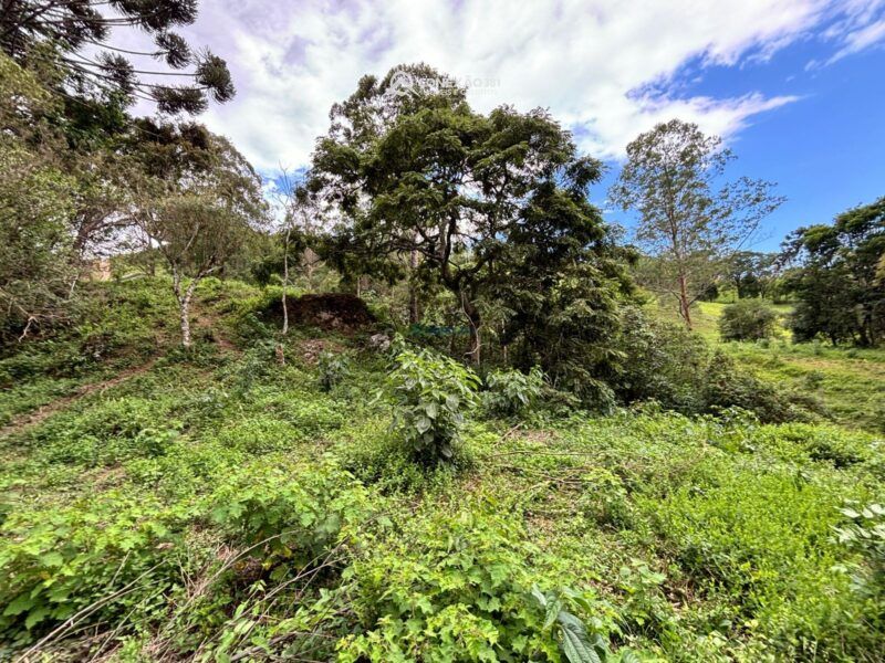 Terreno rural à venda em Cambui, MG — foto 8