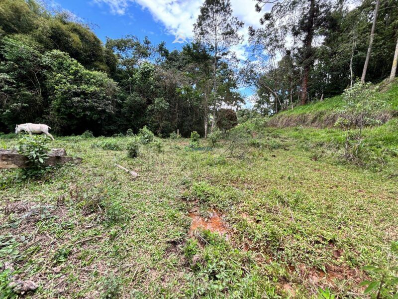 Terreno rural à venda em Cambui, MG — foto 7