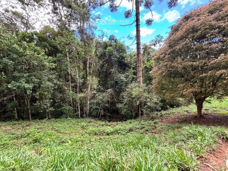 Terreno rural à venda em Cambui, MG — foto 11