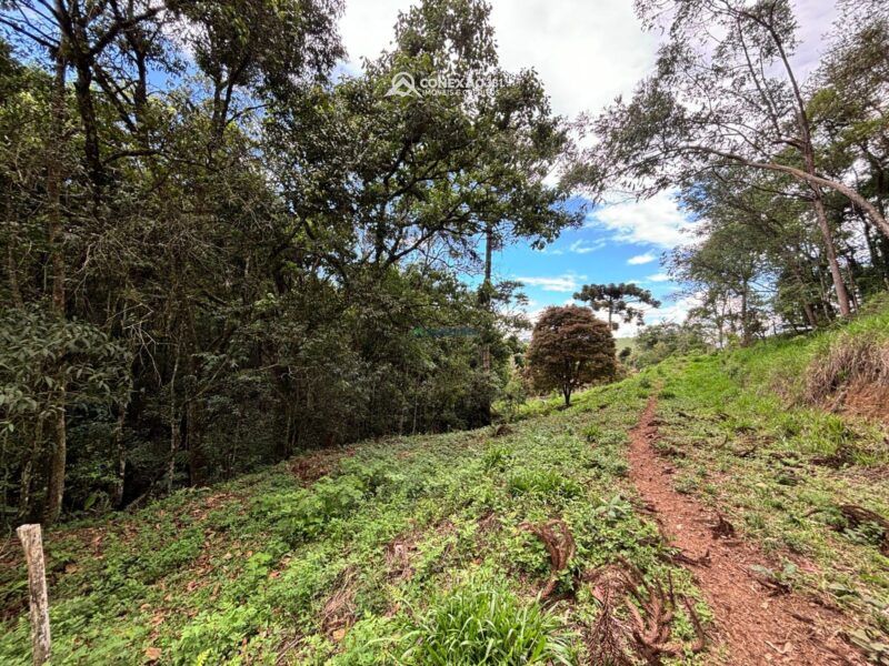 Terreno rural à venda em Cambui, MG — foto 10