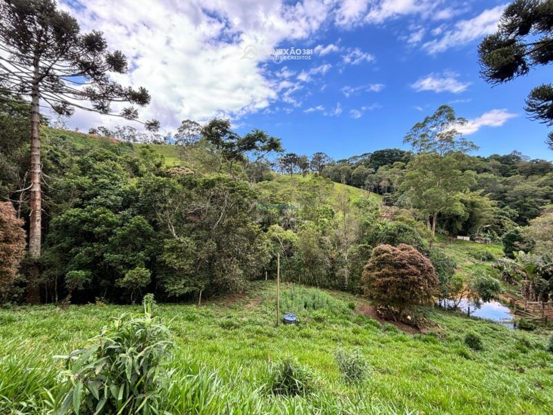 Terreno rural à venda em Cambui, MG — foto 15