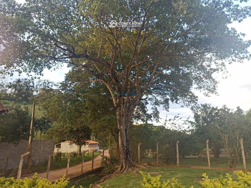 Chácara à venda em Cambuí, MG — foto 2