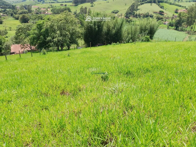 Terreno rural à venda em Cambui, MG — foto 6