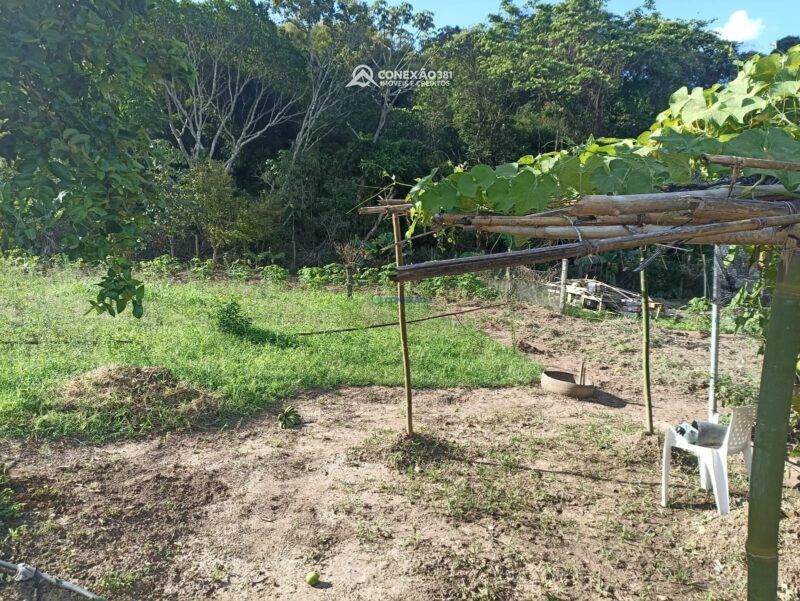 Chácara à venda em Cambuí, MG — foto 5