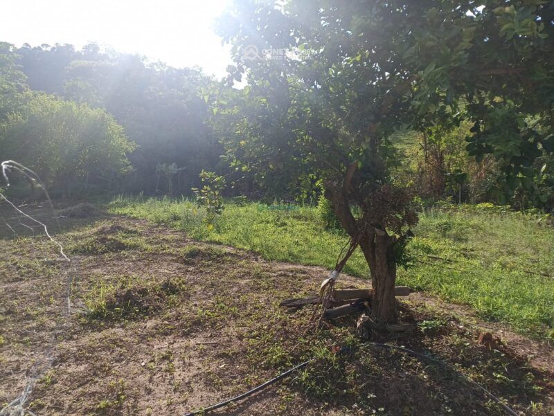 Chácara à venda em Cambuí, MG — foto 8