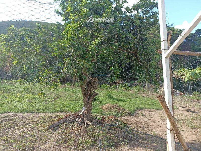 Chácara à venda em Cambuí, MG — foto 27