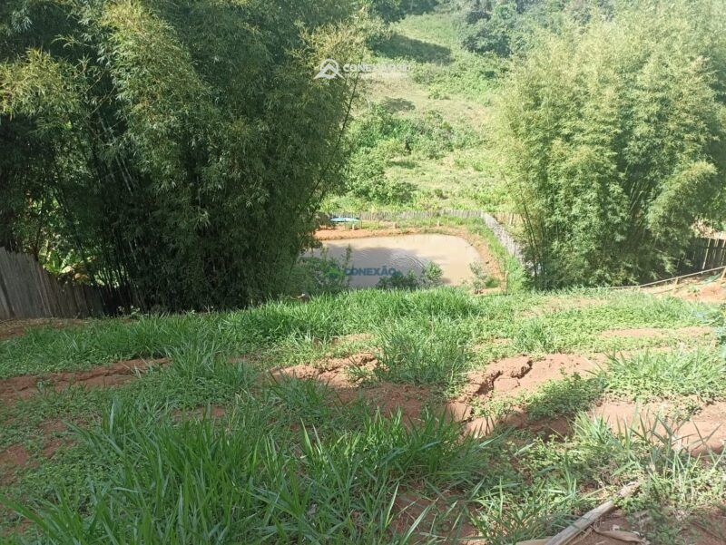 Chácara à venda em Cambuí, MG — foto 4