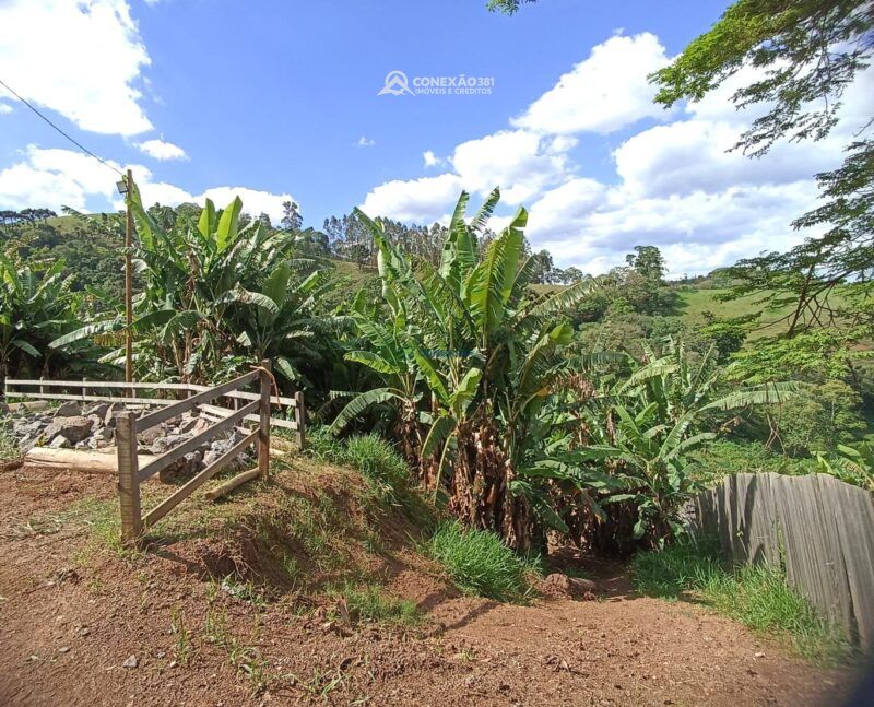 Chácara à venda em Cambuí, MG — foto 18