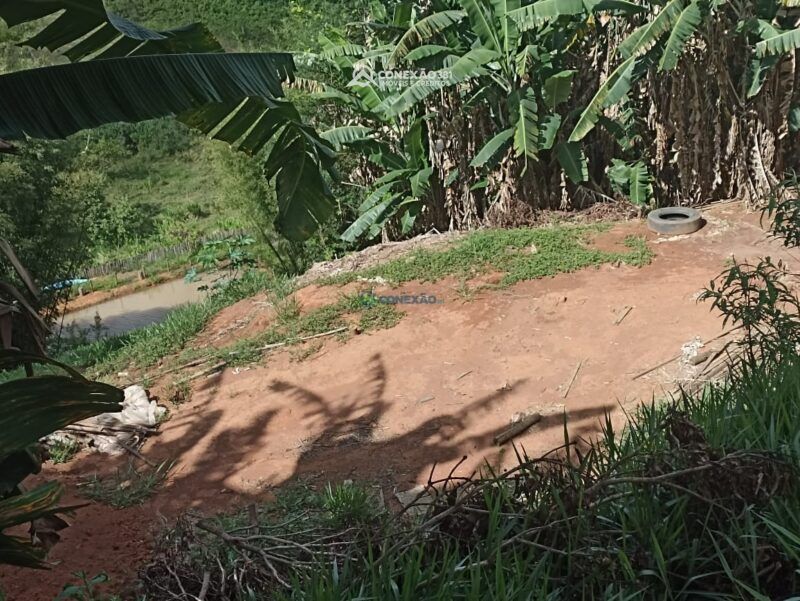 Chácara à venda em Cambuí, MG — foto 34