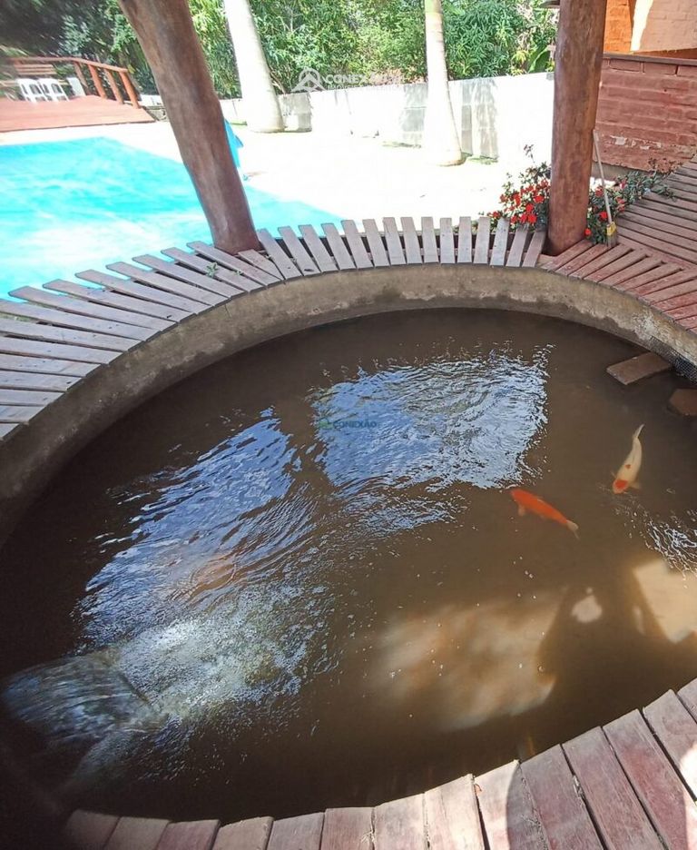 Chácara à venda em Cambuí, MG — foto 43