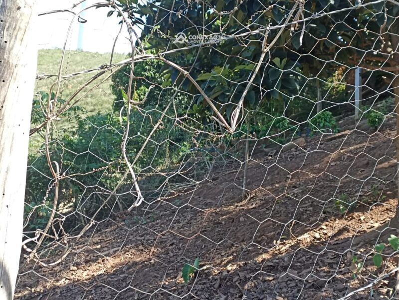 Chácara à venda em Cambuí, MG — foto 12