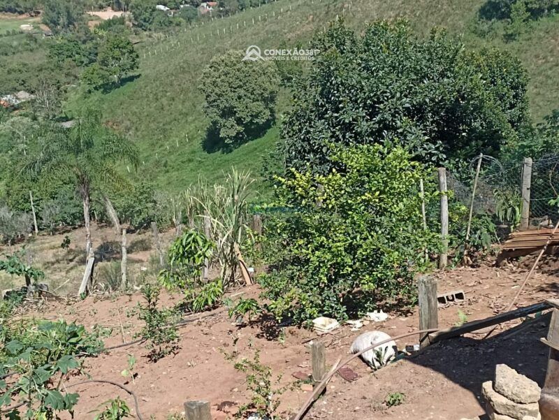 Chácara à venda em Cambuí, MG — foto 26